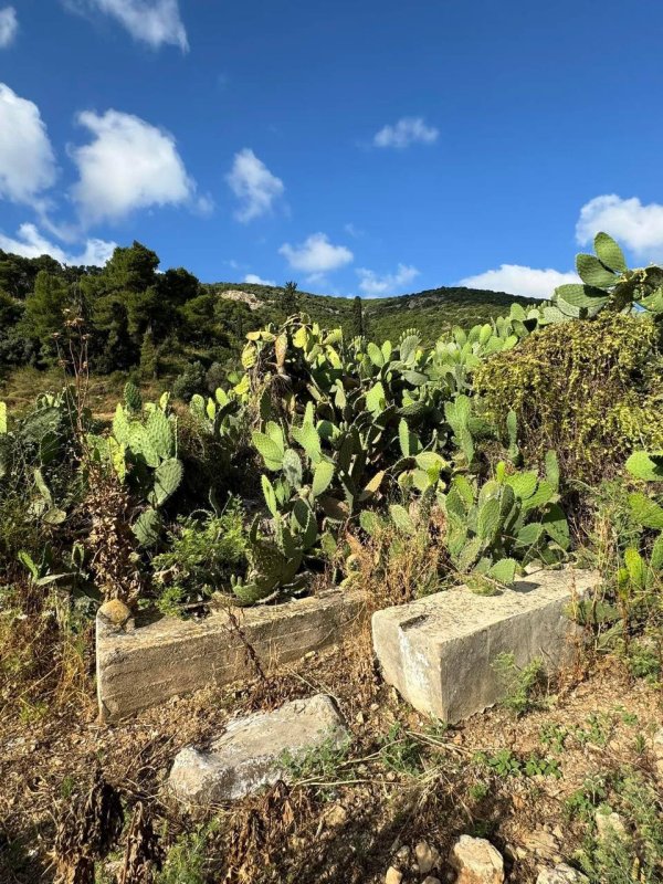 صور في عام 2024 من قرية الياجور المهجره-قضاء حيفا، نقلاً عن الأستاذ :سليمان بويرات