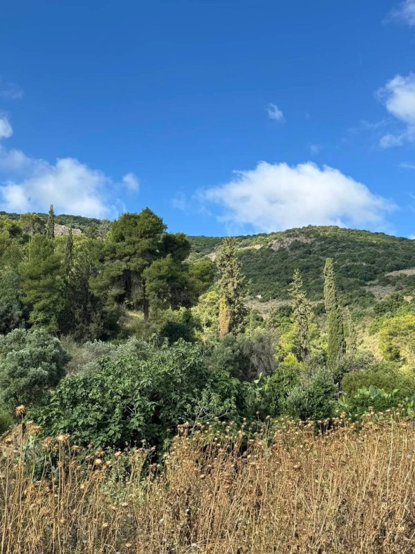 صور في عام 2024 من قرية الياجور المهجره-قضاء حيفا، نقلاً عن الأستاذ :سليمان بويرات