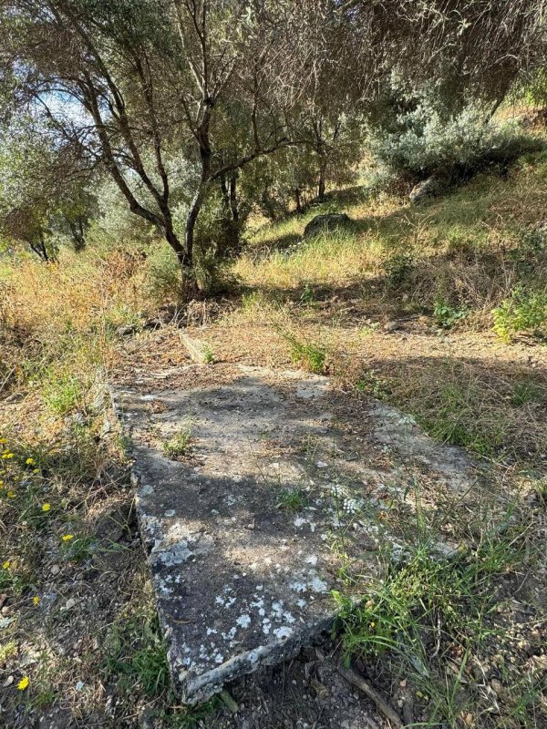 صور في عام 2024 من قرية الياجور المهجره-قضاء حيفا، نقلاً عن الأستاذ :سليمان بويرات