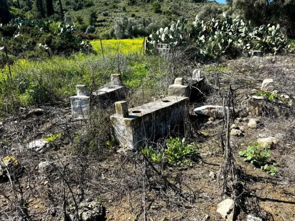 على آراضي قرية الياجور المدمرة والمهجرة (قضاء حيفا) والتي تبعد عن حيفا حوالي ١٠ كم ومن جاراتها قرية بلد الشيخ المهجرة.  لم يبق من الياجور سوى المقبرة المهملة وبقايا البيوت.  هُجرت القرية في  نيسان 1948. نقلاً عن صفحة الأستاذ: Ibrahim Abuammar
