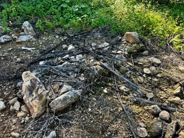 على آراضي قرية الياجور المدمرة والمهجرة (قضاء حيفا) والتي تبعد عن حيفا حوالي ١٠ كم ومن جاراتها قرية بلد الشيخ المهجرة.  لم يبق من الياجور سوى المقبرة المهملة وبقايا البيوت.  هُجرت القرية في  نيسان 1948. نقلاً عن صفحة الأستاذ: Ibrahim Abuammar