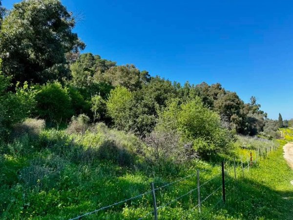 على آراضي قرية الياجور المدمرة والمهجرة (قضاء حيفا) والتي تبعد عن حيفا حوالي ١٠ كم ومن جاراتها قرية بلد الشيخ المهجرة.  لم يبق من الياجور سوى المقبرة المهملة وبقايا البيوت.  هُجرت القرية في  نيسان 1948. نقلاً عن صفحة الأستاذ: Ibrahim Abuammar