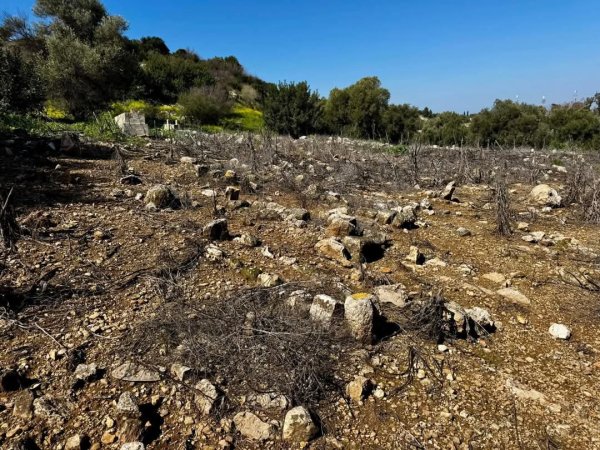 على آراضي قرية الياجور المدمرة والمهجرة (قضاء حيفا) والتي تبعد عن حيفا حوالي ١٠ كم ومن جاراتها قرية بلد الشيخ المهجرة.  لم يبق من الياجور سوى المقبرة المهملة وبقايا البيوت.  هُجرت القرية في  نيسان 1948. نقلاً عن صفحة الأستاذ: Ibrahim Abuammar