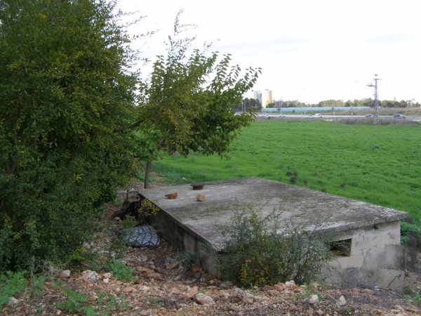 من أراضي قرية ياجور المهجرة