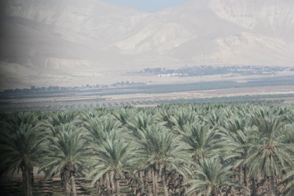 قرية الفاتور / بيسان