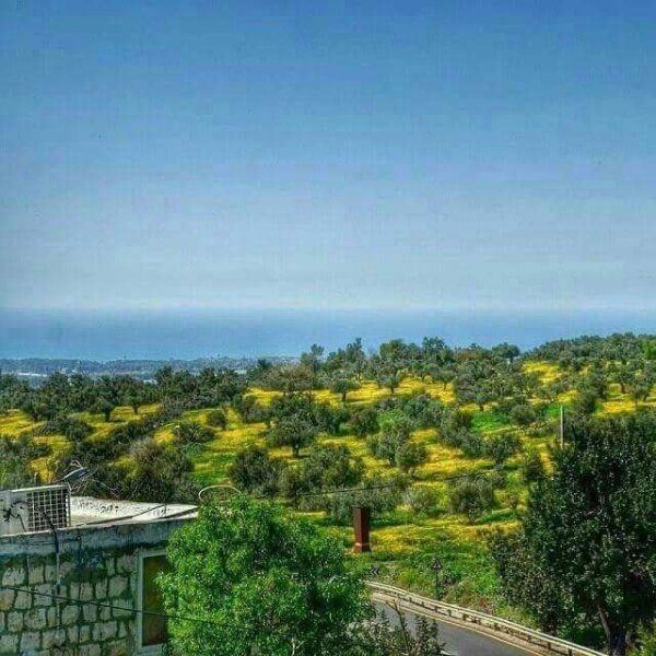  | موسوعة القرى الفلسطينية