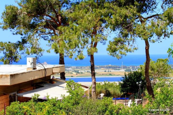  | موسوعة القرى الفلسطينية