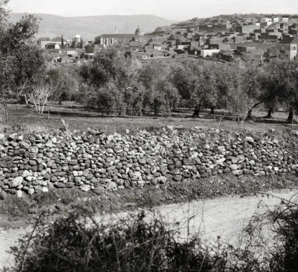  | موسوعة القرى الفلسطينية