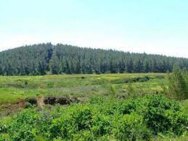 قرية الدوايمه