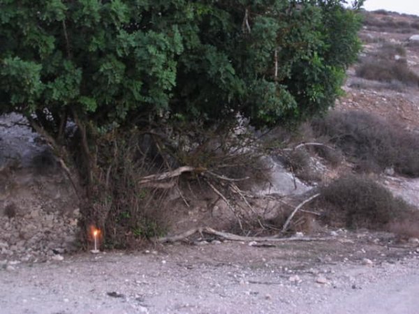 قرية الدوايمه