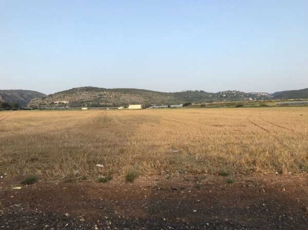 أراضي قرية عتليت المهجرة