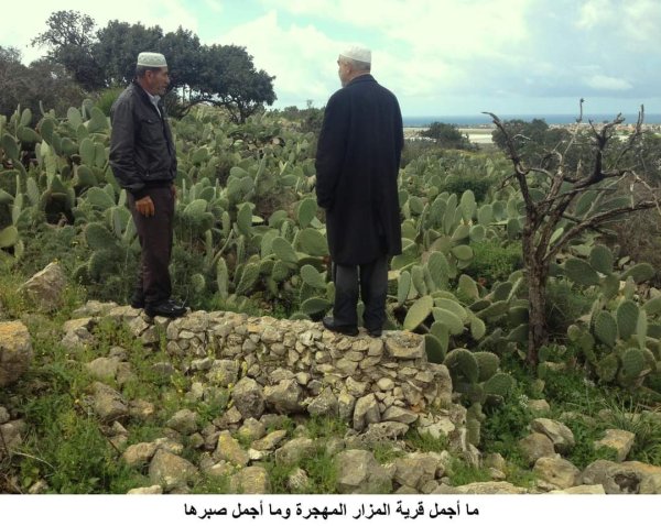  | موسوعة القرى الفلسطينية