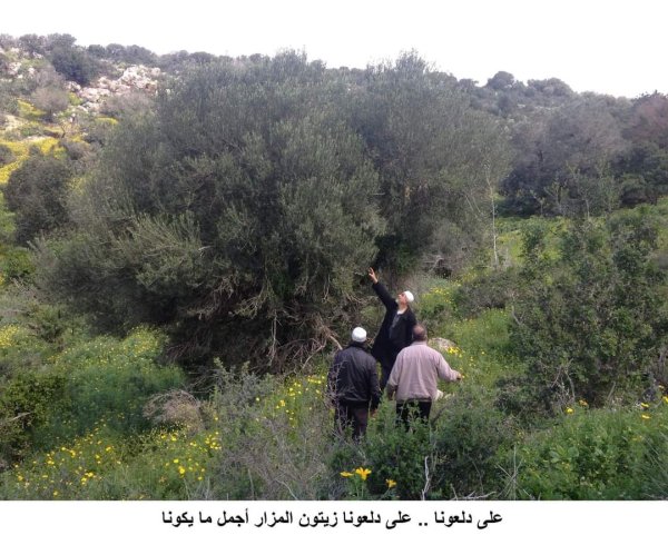  | موسوعة القرى الفلسطينية