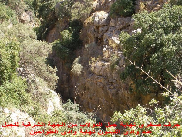 قرية سموعي/ المصدر: ابن القرية أغيد أشقر