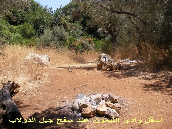 قرية سموعي/ المصدر: ابن القرية أغيد أشقر