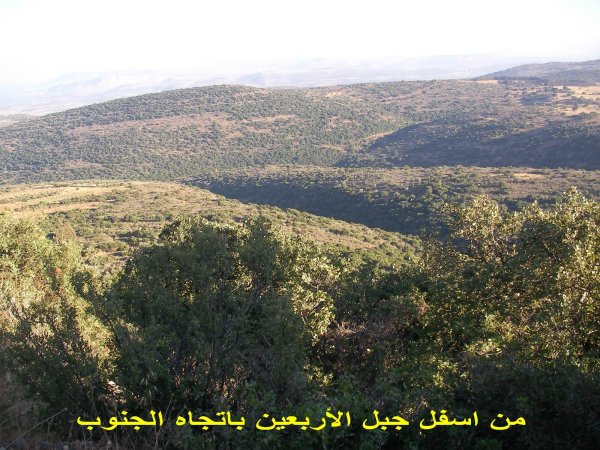 قرية سموعي/ المصدر: ابن القرية أغيد أشقر