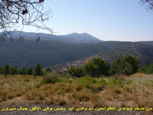 قرية سموعي/ المصدر: ابن القرية أغيد أشقر