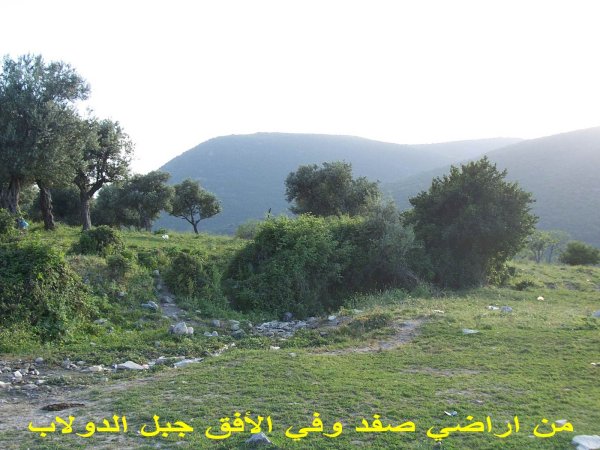 قرية سموعي/ المصدر: ابن القرية أغيد أشقر