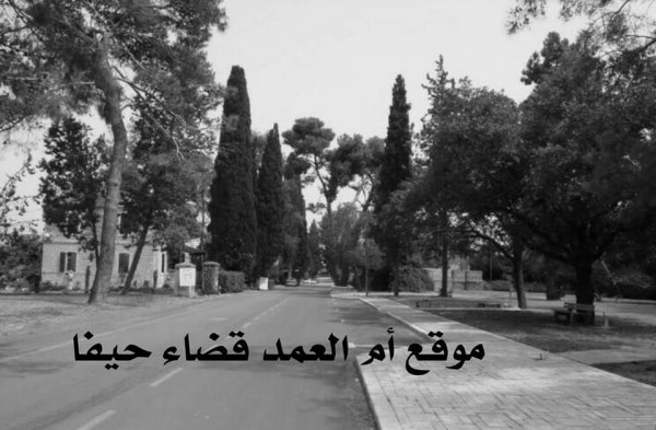  | موسوعة القرى الفلسطينية