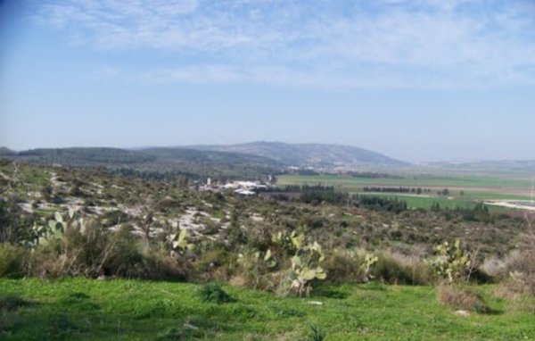  | موسوعة القرى الفلسطينية