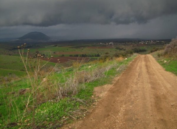 قرية الطيرة / طيرة المرج، طيرة الزعبية