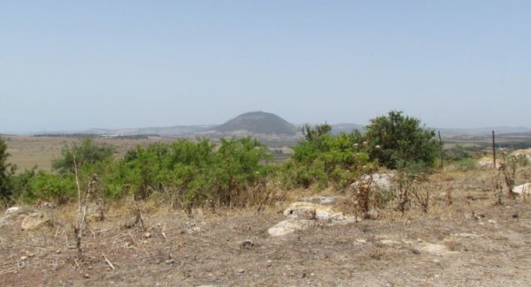 قرية الطيرة / طيرة المرج، طيرة الزعبية