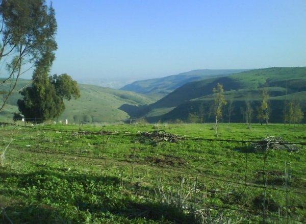 قرية الطيرة / طيرة المرج، طيرة الزعبية