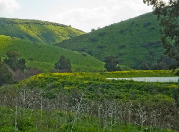 قرية الطيرة / طيرة المرج، طيرة الزعبية