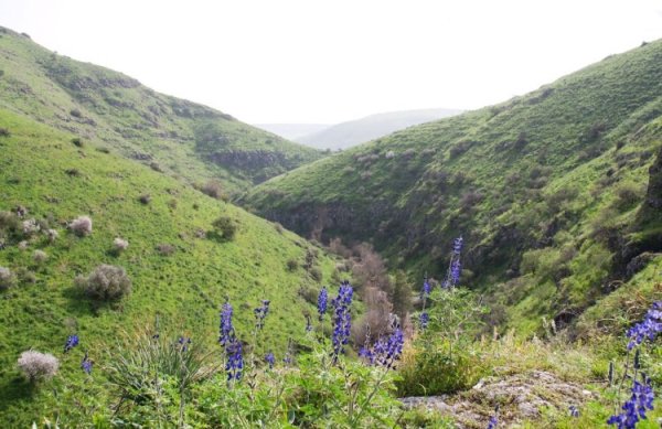 قرية الطيرة / طيرة المرج، طيرة الزعبية