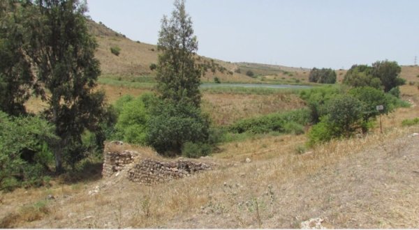 قرية الطيرة / طيرة المرج، طيرة الزعبية