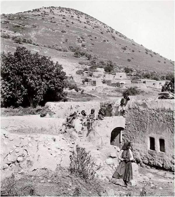 | موسوعة القرى الفلسطينية  | موسوعة القرى الفلسطينية