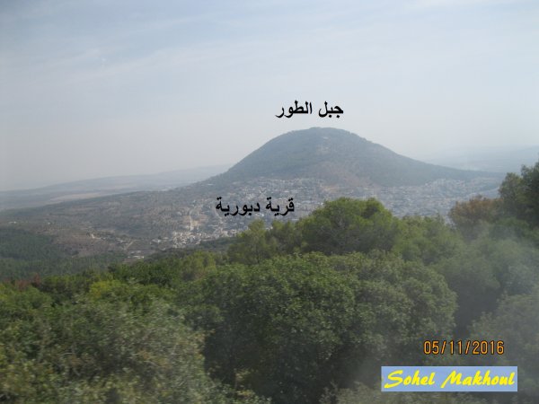 | موسوعة القرى الفلسطينية  | موسوعة القرى الفلسطينية