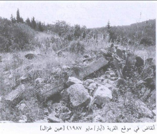  | موسوعة القرى الفلسطينية