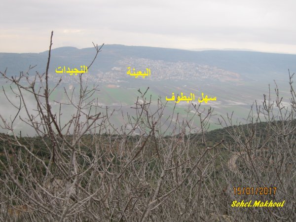 صورة توضيحية للكوقع