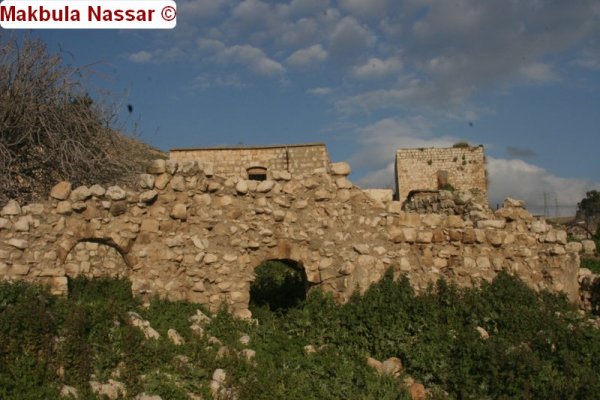 منازل قرية عكبرة المهجرة، الصورة عام 2009 بعدسة مقبولة نصار