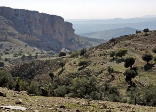 أراضي شرق القرية، نقلاً عن موقع فلسطين في الذاكرة