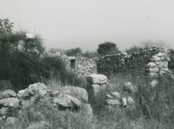 قرية جمزو / الرملة