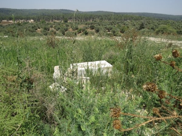 قرية جمزو / الرملة