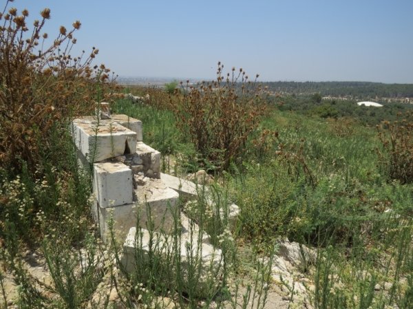 قرية جمزو / الرملة