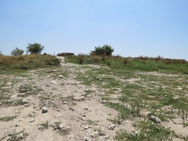 قرية جمزو / الرملة