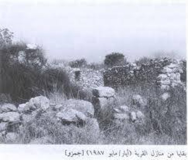 قرية جمزو / الرملة