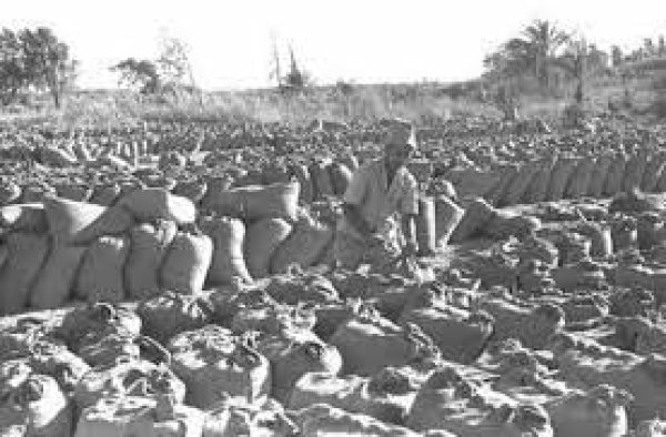  | موسوعة القرى الفلسطينية