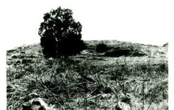  | موسوعة القرى الفلسطينية