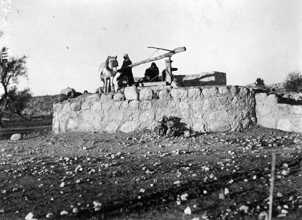 سكان القرية