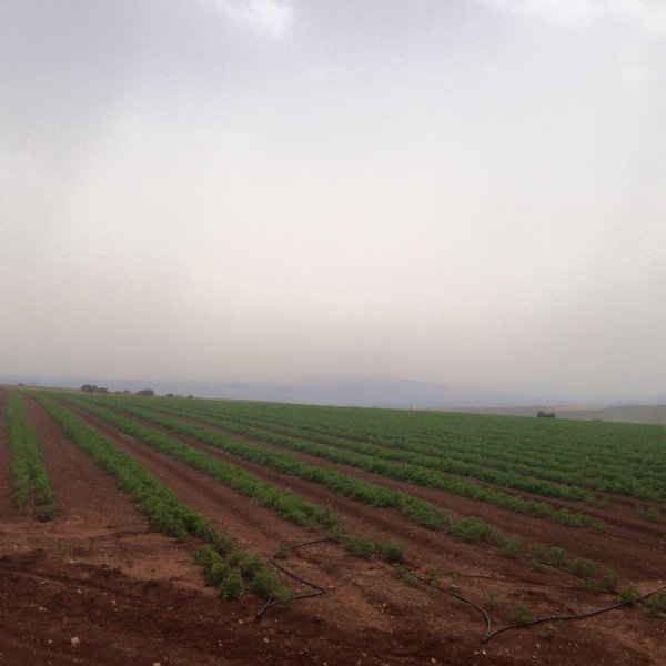 أراضي القرية