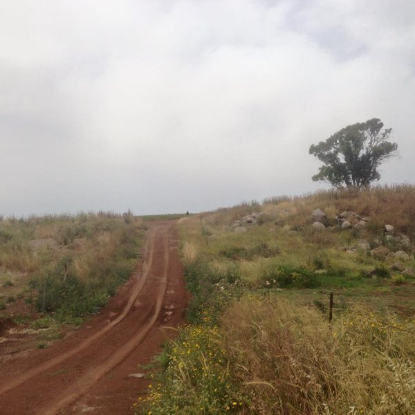 أراضي القرية