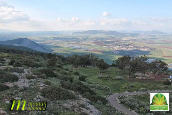 أراضي القرية