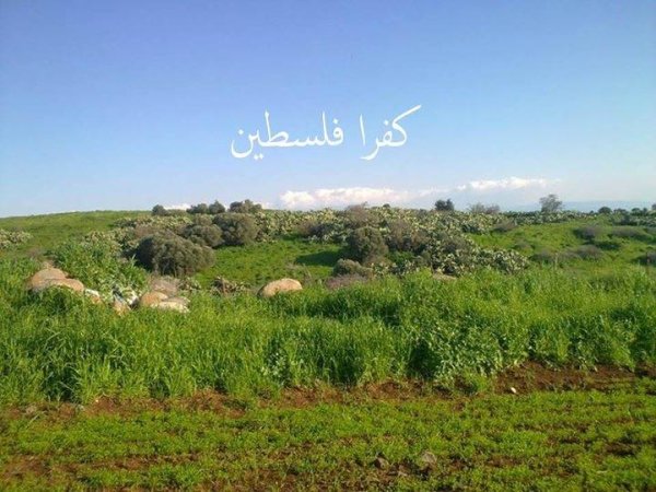 أراضي القرية