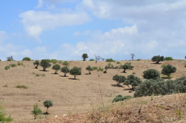 أراضي القرية