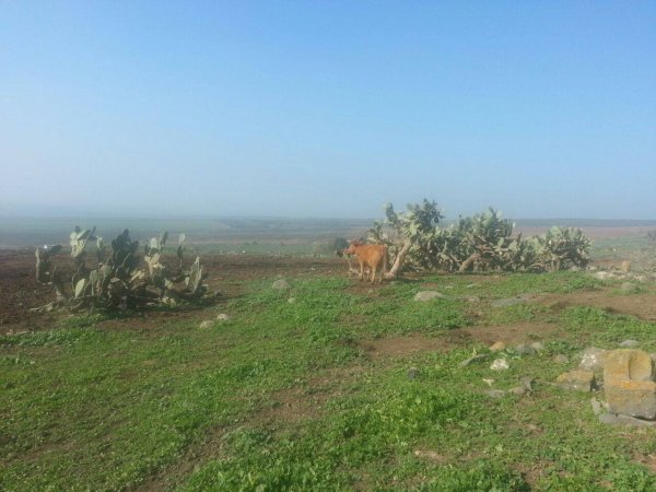  | موسوعة القرى الفلسطينية